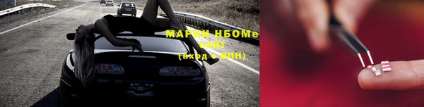 стаф Алексин