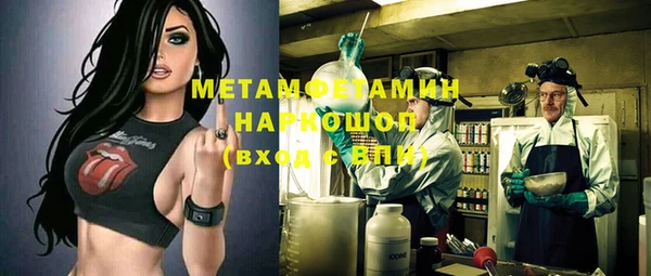 стаф Алексин