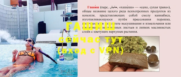 стаф Алексин