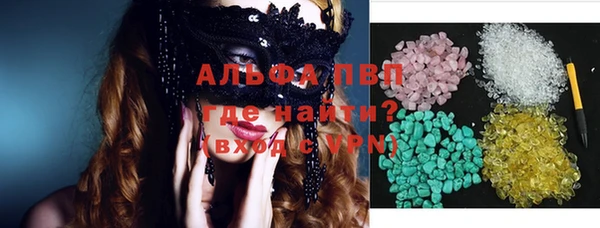 стаф Алексин