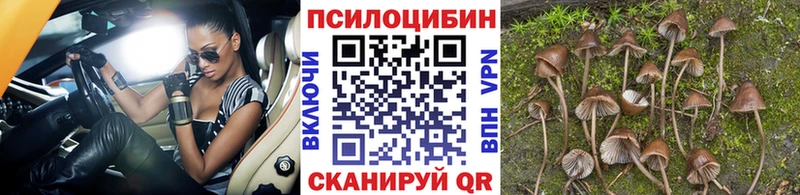 Псилоцибиновые грибы ЛСД  Завитинск 